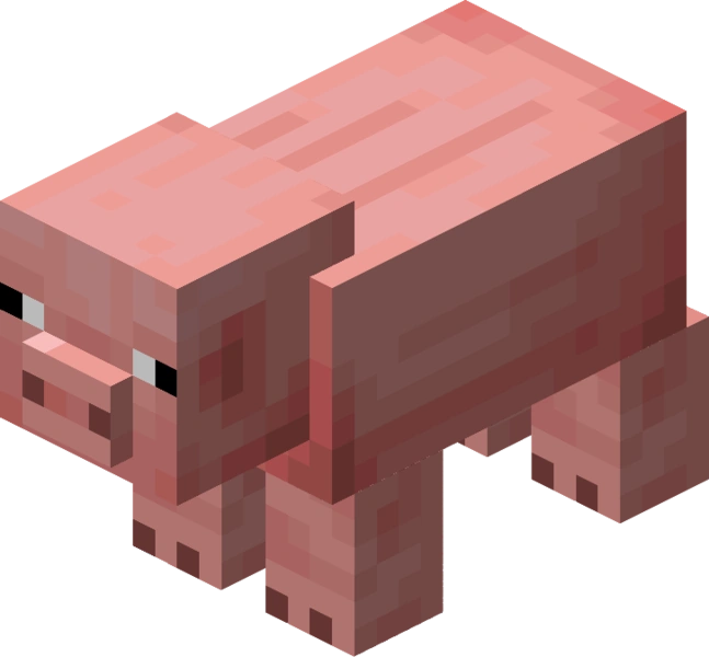 pig